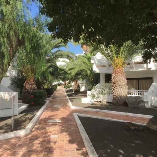 Pistachio Apartment 323 - Lanzarote Apartment 科斯塔特吉塞 外观 照片